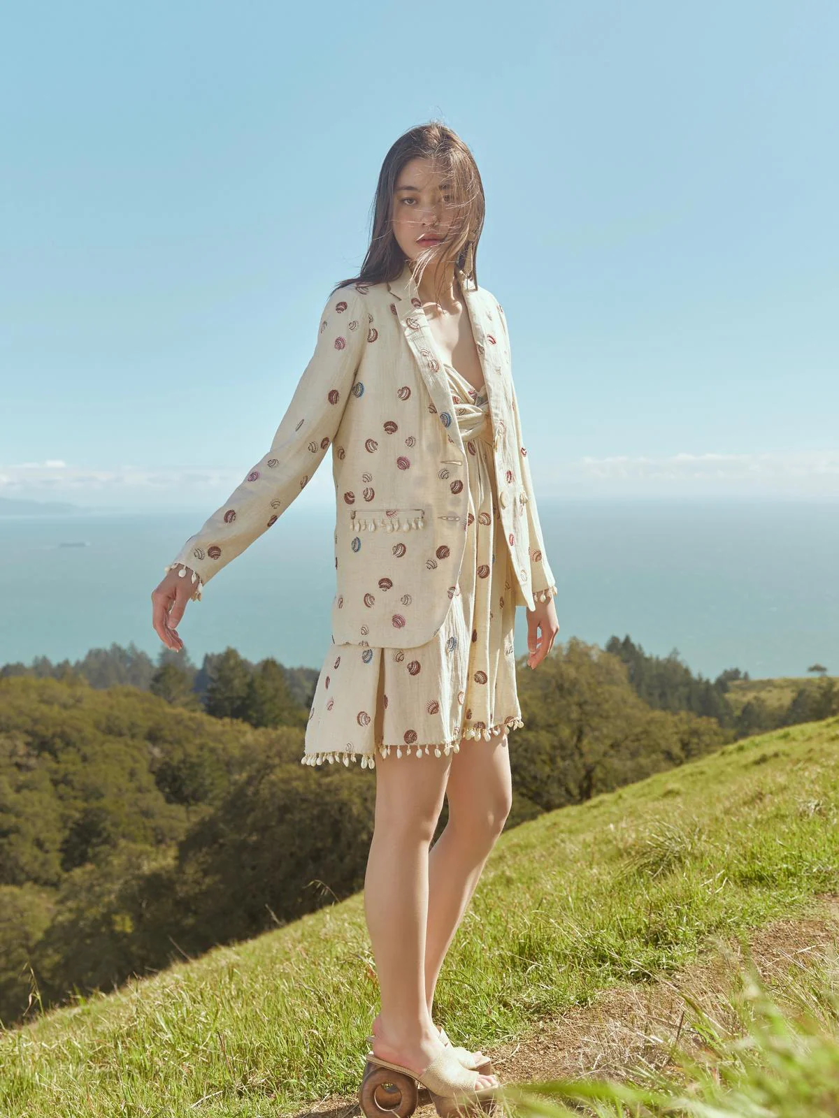Katty Beaded Embroidered Mini Dress With Puka Fringe - Light Sand/Beaded Embroidered Shells With Puka Beaded Fringe - Image 5